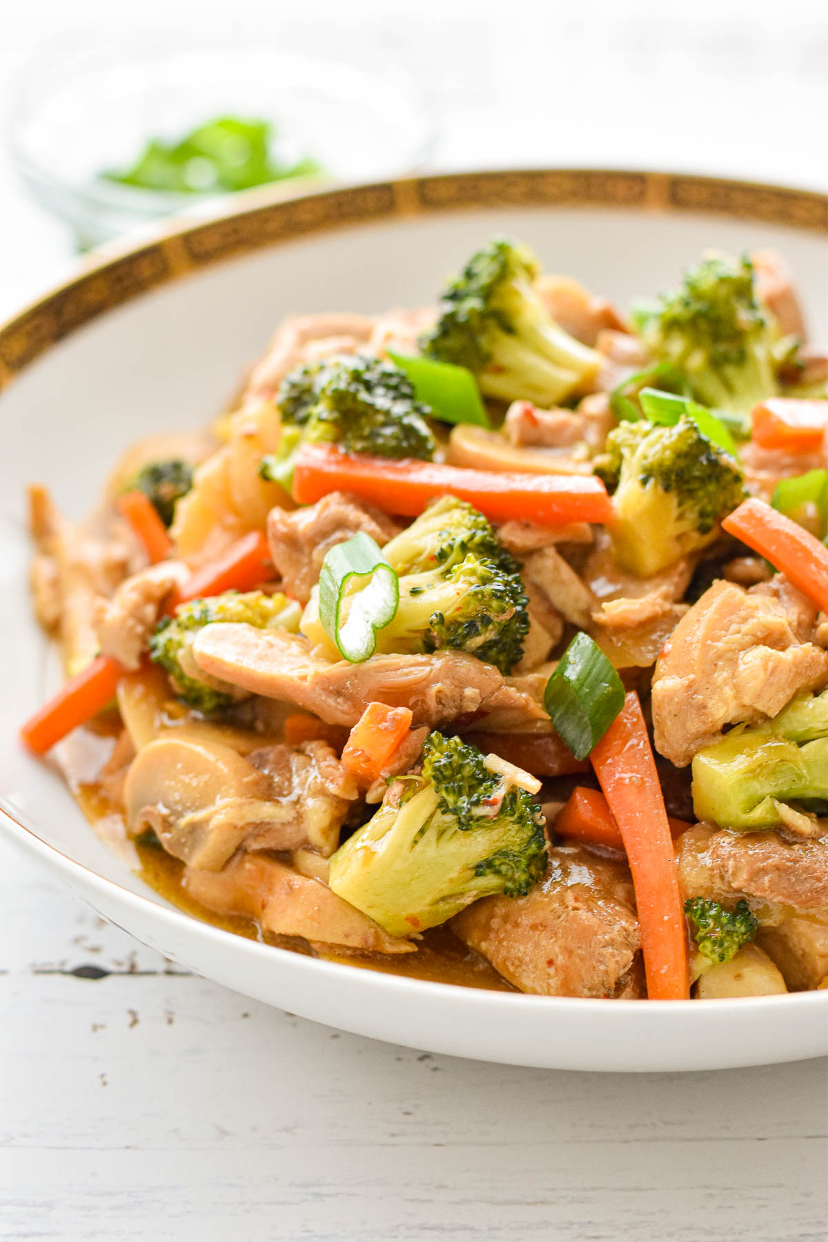 low fodmap low carb chicken stir fry with chopped broccoli, carrots, mushrooms, water chestnuts and scallions in a white bowl