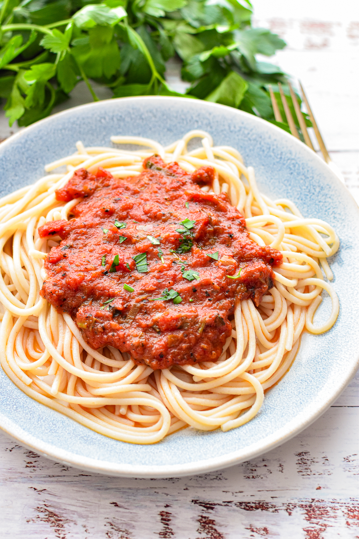 low fodmap spaghetti covered in marinara sauce on a blue and white plate in front of a bunch of italian parsley.