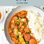 pinterest image with low fodmap instant pot gumbo gluten-free lactose-free at the top and goodnomshoney.com at the bottom.
