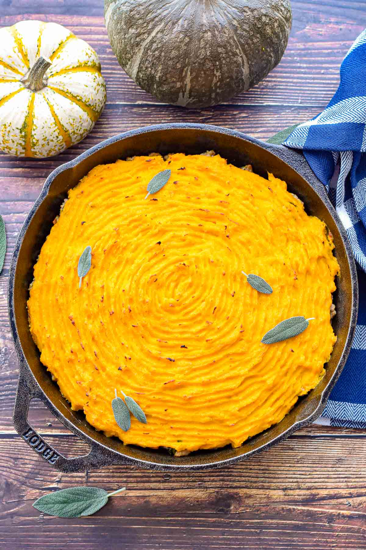 low fodmap low carb shepherd's pie with squash topping in a cast iron skillet next to a gourd and a kabocha squash.